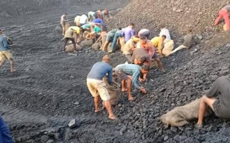 खदानों से चोरी का कोयला सीधे ईंट भट्ठों में खपाया जा रहा, जिम्मेदार जानते हुए भी खामोश