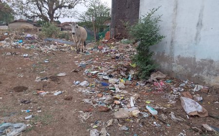ओड़गी पंचायत में दम तोड़ता नजर आ रहा स्वच्छ भारत मिशन