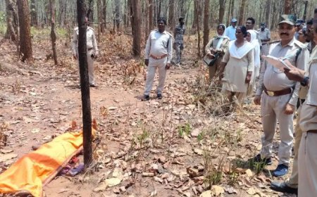 महुआ बीनने गई बुजुर्ग महिला पर दंतैल हाथी का हमला, मौके पर मौत