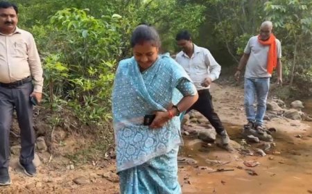 "बीहड़ों में उम्मीद की दस्तक: सामाजिक सरोकार के साथ मंत्री लक्ष्मी राजवाड़े की ऐतिहासिक पदयात्रा, 78 वर्षों में पहली बार पहुंचा कोई जनप्रतिनिधि"