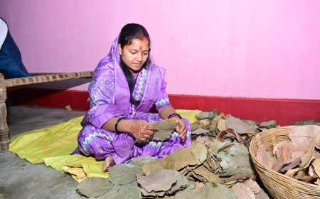 कैबिनेट मंत्री श्रीमती लक्ष्मी राजवाड़े का दिखा सादगीभरा अंदाज, विवाह समारोह में ज़मीन पर बैठकर सिलीं दोना-पत्तल