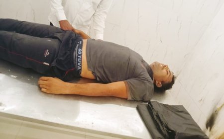 नीलगिरी की कटाई में मजदूर की मौत: पेड़ की टहनी गिरने से सीने में लगी चोट, रास्ते में तोड़ा दम