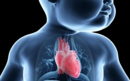 हृदय रोग से पीड़ित बच्चों के लिए राहत की खबर: सूरजपुर और भैयाथान में लगेगा विशेष नि:शुल्क जांच शिविर...