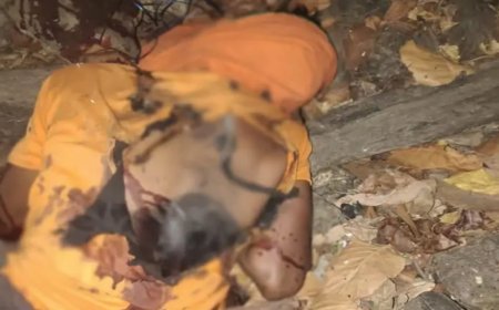 शिकार के दौरान हुआ हादसा: एक की मौत आरोपी पुलिस हिरासत में