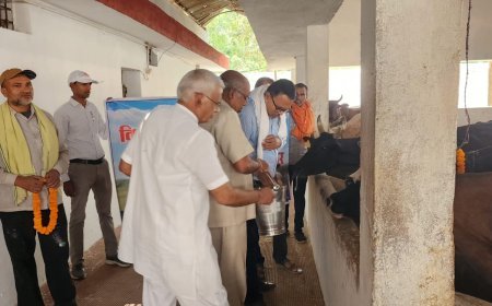 विश्व पशु चिकित्सा दिवस पर अग्रसेन गौशाला में बहुउद्देशीय पशु चिकित्सा शिविर का आयोजन