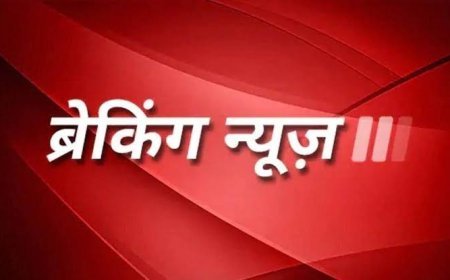 बृजनगर के जंगल में युवक और अज्ञात युवती ने लगाई फांसी, एक ही चुन्नी से दोनों के शव लटके मिले