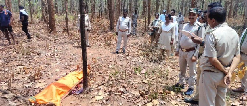 महुआ बीनने गई बुजुर्ग महिला पर दंतैल हाथी का हमला, मौके पर मौत