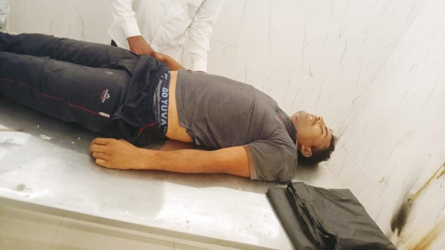 नीलगिरी की कटाई में मजदूर की मौत: पेड़ की टहनी गिरने से सीने में लगी चोट, रास्ते में तोड़ा दम
