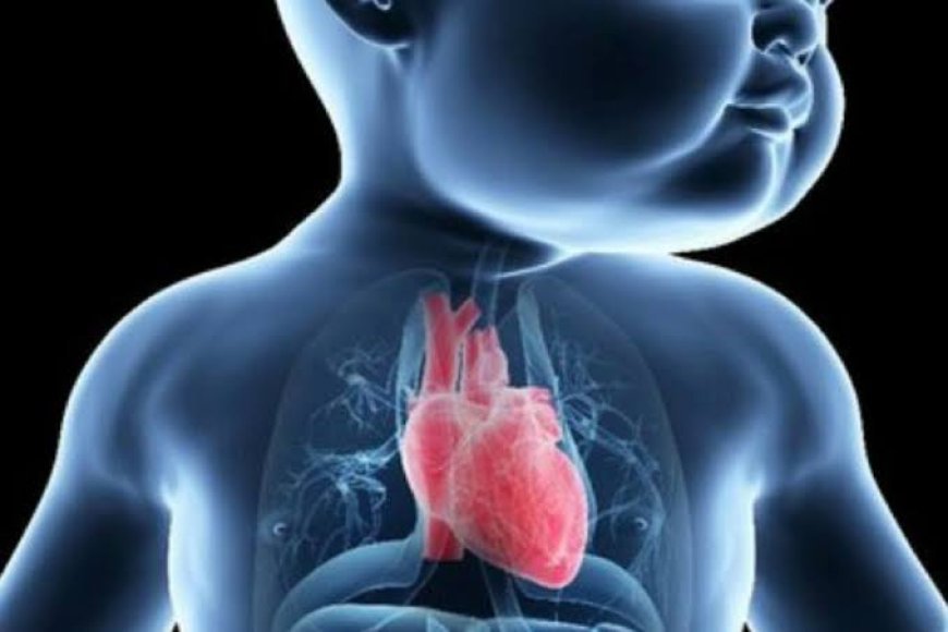 हृदय रोग से पीड़ित बच्चों के लिए राहत की खबर: सूरजपुर और भैयाथान में लगेगा विशेष नि:शुल्क जांच शिविर...