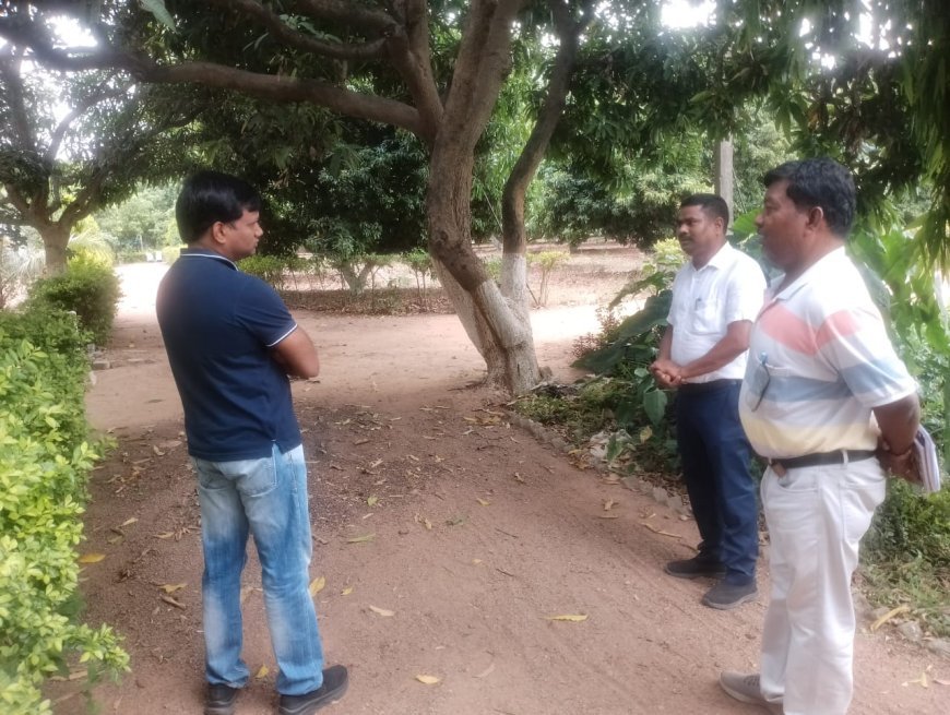 कलेक्टर ने किया शासकीय उद्यानों का निरीक्षण, किसानों को उच्च गुणवत्ता वाली सीडलिंग उपलब्ध कराने के दिए निर्देश