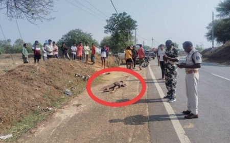 खमरिया में खून से सनी युवक की लाश मिलने से मची सनसनी, हत्या कर सूरजपुर रोड से घसीटकर लाने की आशंका – गांव में दहशत का माहौल