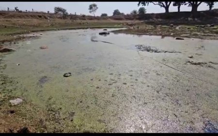 जोगीबांध में राइस मिल ने किया तालाब दूषित, ग्रामीणों की फरियाद पर प्रशासन मौन