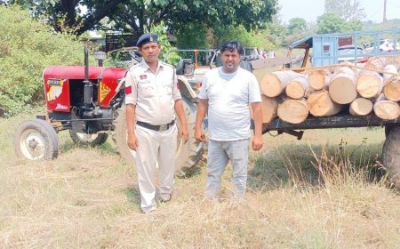 हरे सोने की तस्करी नाकाम: बतौली पुलिस की दबिश में दो ट्रैक्टर जब्त, लकड़ी सहित चालक वन विभाग के हवाले