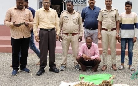 तेंदुए की खाल तस्करी पर कार्रवाई: चपदा चौक पर आरोपी गिरफ्तार, वन विभाग की कार्यशैली फिर सवालों के घेरे में