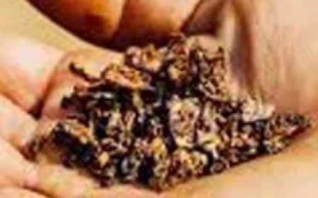 लोकल गुटखे की बेरोकटोक बिक्री, प्रशासन की खामोशी पर जनता आक्रोशित