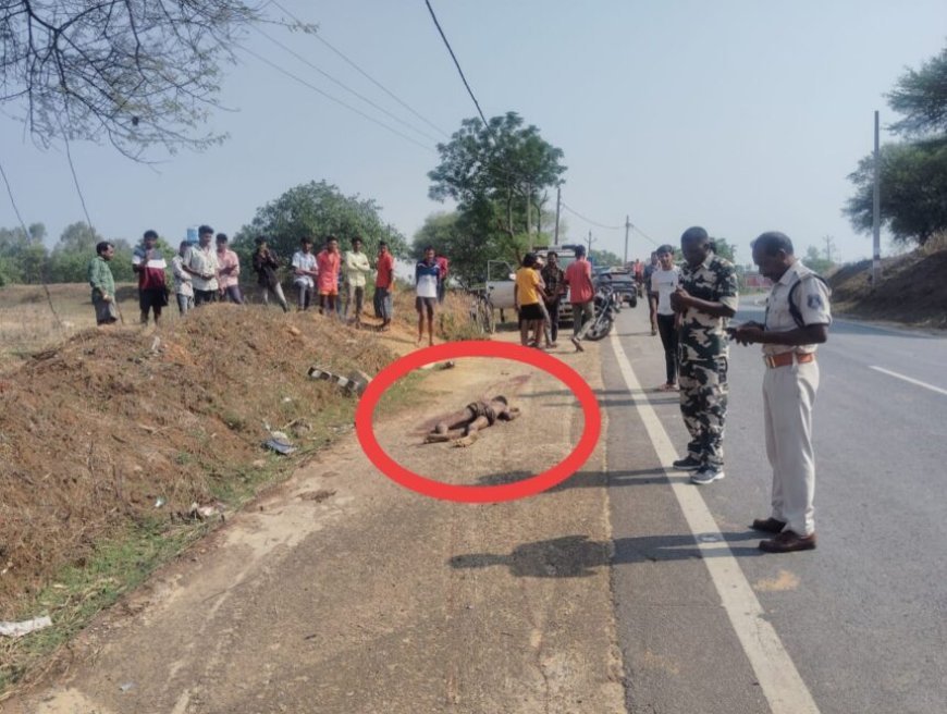 खमरिया में खून से सनी युवक की लाश मिलने से मची सनसनी, हत्या कर सूरजपुर रोड से घसीटकर लाने की आशंका – गांव में दहशत का माहौल