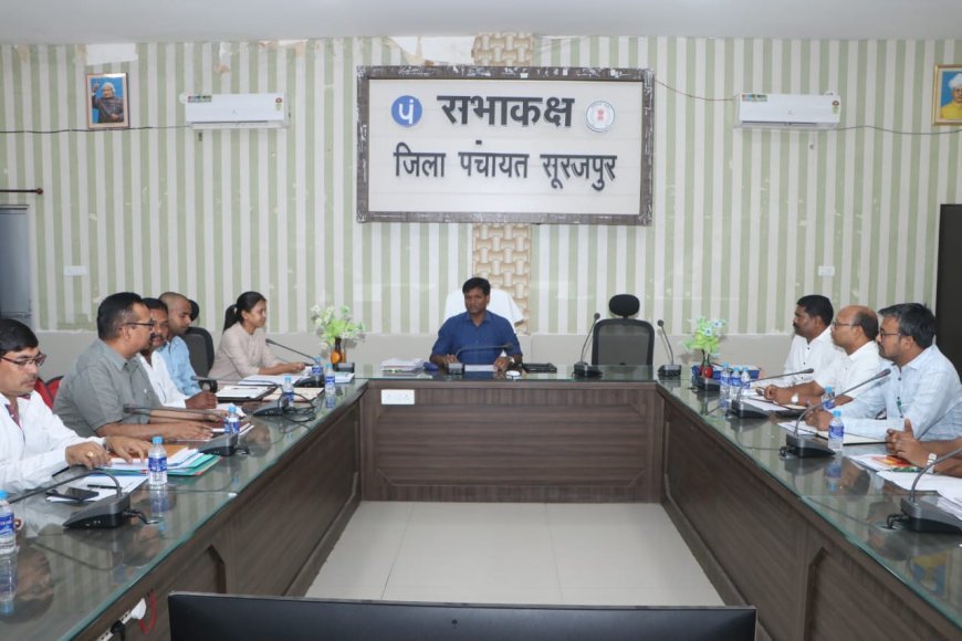 व्यवसायिक फसलों से होगी खुशहाली: कलेक्टर  ने कृषि विभाग की समीक्षा बैठक में दिए सख्त निर्देश