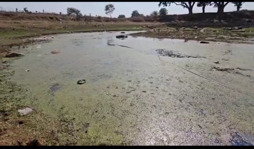 जोगीबांध में राइस मिल ने किया तालाब दूषित, ग्रामीणों की फरियाद पर प्रशासन मौन
