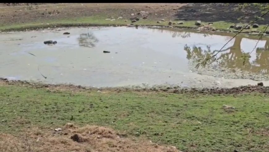 जोगीबांध में राइस मिल ने किया तालाब दूषित, ग्रामीणों की फरियाद पर प्रशासन मौन