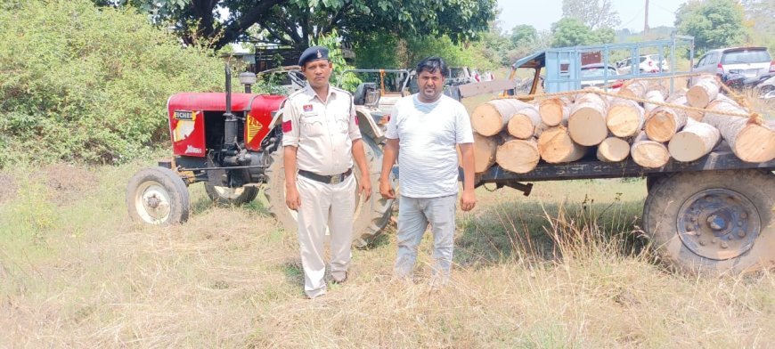 हरे सोने की तस्करी नाकाम: बतौली पुलिस की दबिश में दो ट्रैक्टर जब्त, लकड़ी सहित चालक वन विभाग के हवाले