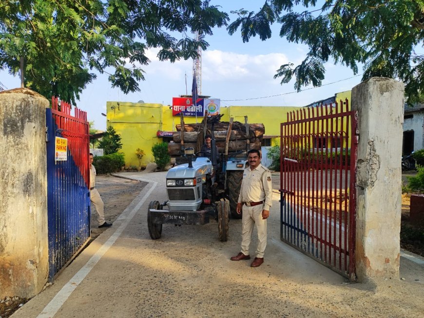 हरे सोने की तस्करी नाकाम: बतौली पुलिस की दबिश में दो ट्रैक्टर जब्त, लकड़ी सहित चालक वन विभाग के हवाले