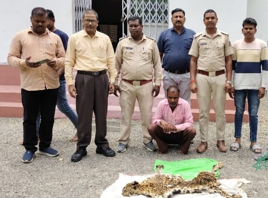 तेंदुए की खाल तस्करी पर कार्रवाई: चपदा चौक पर आरोपी गिरफ्तार, वन विभाग की कार्यशैली फिर सवालों के घेरे में