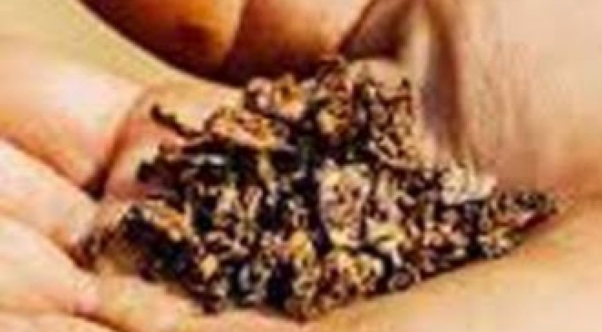 लोकल गुटखे की बेरोकटोक बिक्री, प्रशासन की खामोशी पर जनता आक्रोशित