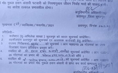 शासकीय भूमि लूट का खेल: फर्जीवाड़े में लिप्त पटवारी को फिर वही ताज, राजस्व विभाग की साख दांव पर