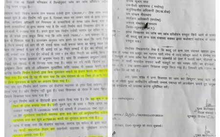 मनरेगा में लूट का ‘खेल’: सरपंच-सचिव बलि का बकरा, अफसरों पर मेहरबानी क्यों....?