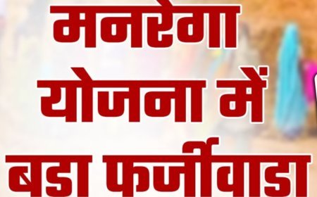 मृतक के नाम पर मनरेगा से स्वीकृत हुआ डबरी निर्माण कार्य : आवास मित्र पर फर्जीवाड़ा का आरोप
