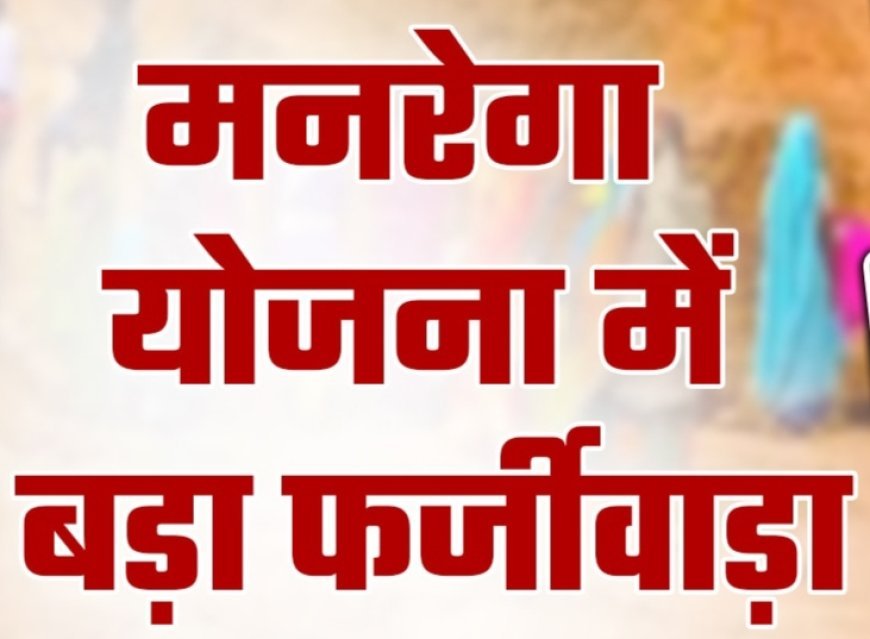 मृतक के नाम पर मनरेगा से स्वीकृत हुआ डबरी निर्माण कार्य : आवास मित्र पर फर्जीवाड़ा का आरोप