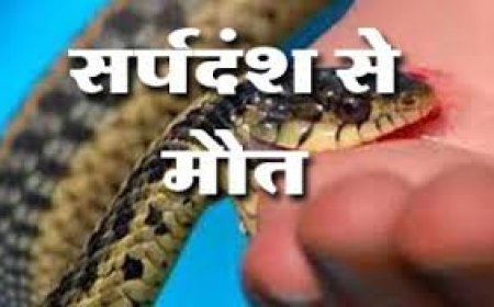 सर्प दंश से मासूम की मौत, स्वास्थ्य व्यवस्था की लापरवाही उजागर