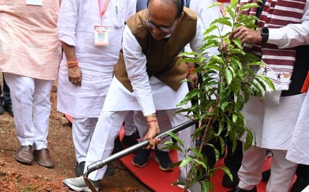मैनपाट में केंद्रीय मंत्री शिवराज सिंह चौहान का आगमन, 'मां के नाम' पौधरोपण के साथ दिया पर्यावरण संरक्षण का संदेश