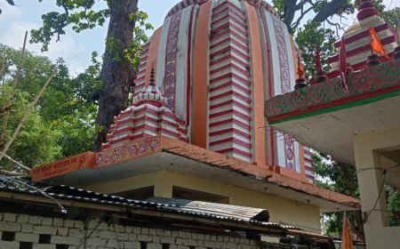 सिद्धेश्वर महादेव मंदिर में गुरु पूर्णिमा पर भव्य भंडारे का आयोजन, भक्तों का उमड़ा हुजूम