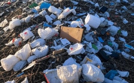 पॉलीथिन पर बैन बेअसर: शहर की सुंदरता पर दाग, नालियां जाम, प्रशासन मौन