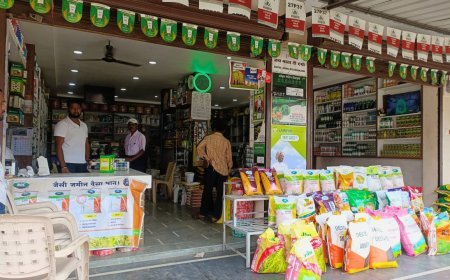 सरगुजा संभाग में उर्वरक-बीज दुकानों पर सख्ती, 83 संस्थानों में अनियमितता, एक का लाइसेंस रद्द