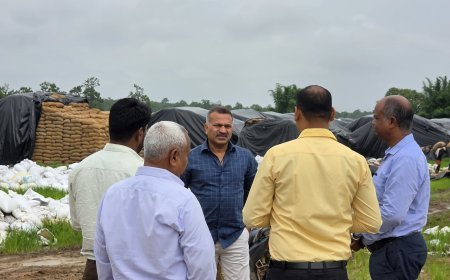 धान उठाव में सुस्ती पर कलेक्टर का सख्त एक्शन, घंघरी-सूर केंद्रों पर औचक छापा,बारिश की अड़चनों को दूर कर रास्ते सुगम करने के निर्देश, समय-सीमा में करें कार्य पूर्ण