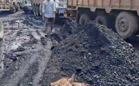 गायत्री खदान में डीजल चोरी का आतंक अवैध पार्किंग से वसूली का खेल सवालों के घेरे में ,खदान की सुरक्षा और वन भूमि पर पार्किंग का धंधा