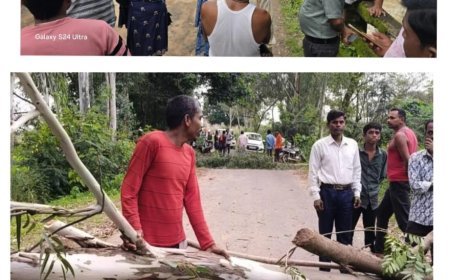 क्षतिग्रस्त पुलिया ने रोका रास्ता, प्रशासन ने शुरू किया त्वरित कार्रवाई
