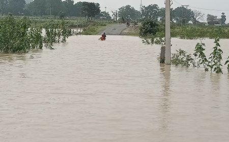 हाइड्रो पावर प्लांट की बेपरवाही फिर आई सामने, जलमग्न खेतों में डूबी किसानों की उम्मीदें, रास्ता भी ठप