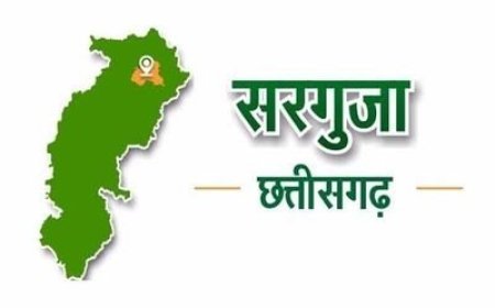 31 जुलाई को अम्बिकापुर में शिक्षकीय समीक्षा बैठक, बीईओ-प्राचार्यों की उपस्थिति अनिवार्य