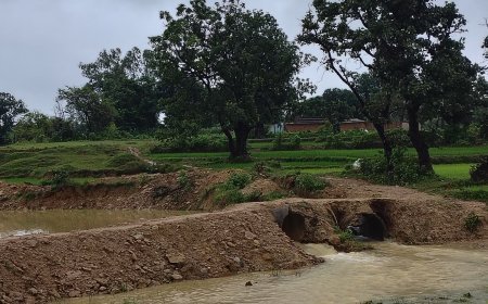बसकर में कीचड़ की चादर बिछा रास्ता बना अभिशाप, स्कूल- अस्पताल की राह में कांटे