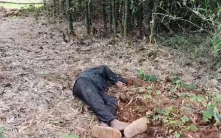 चाकूबाजी का खौफनाक मंजर: युवक की निर्मम हत्या, दोस्त घायल; फरार कातिल की तलाश में पुलिस