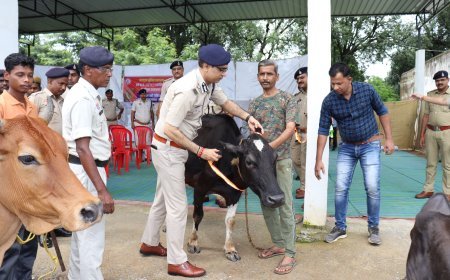 सरगुजा पुलिस की अनूठी पहल: 'रेडियम कॉलर' अभियान से सड़क दुर्घटनाओं पर लगेगी रोक