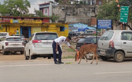 सूरजपुर पुलिस की अनूठी पहल: मवेशियों के गले में रेडियम कॉलर, सड़क हादसों पर लगेगी रोक