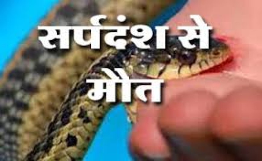 सर्प दंश से मासूम की मौत, स्वास्थ्य व्यवस्था की लापरवाही उजागर