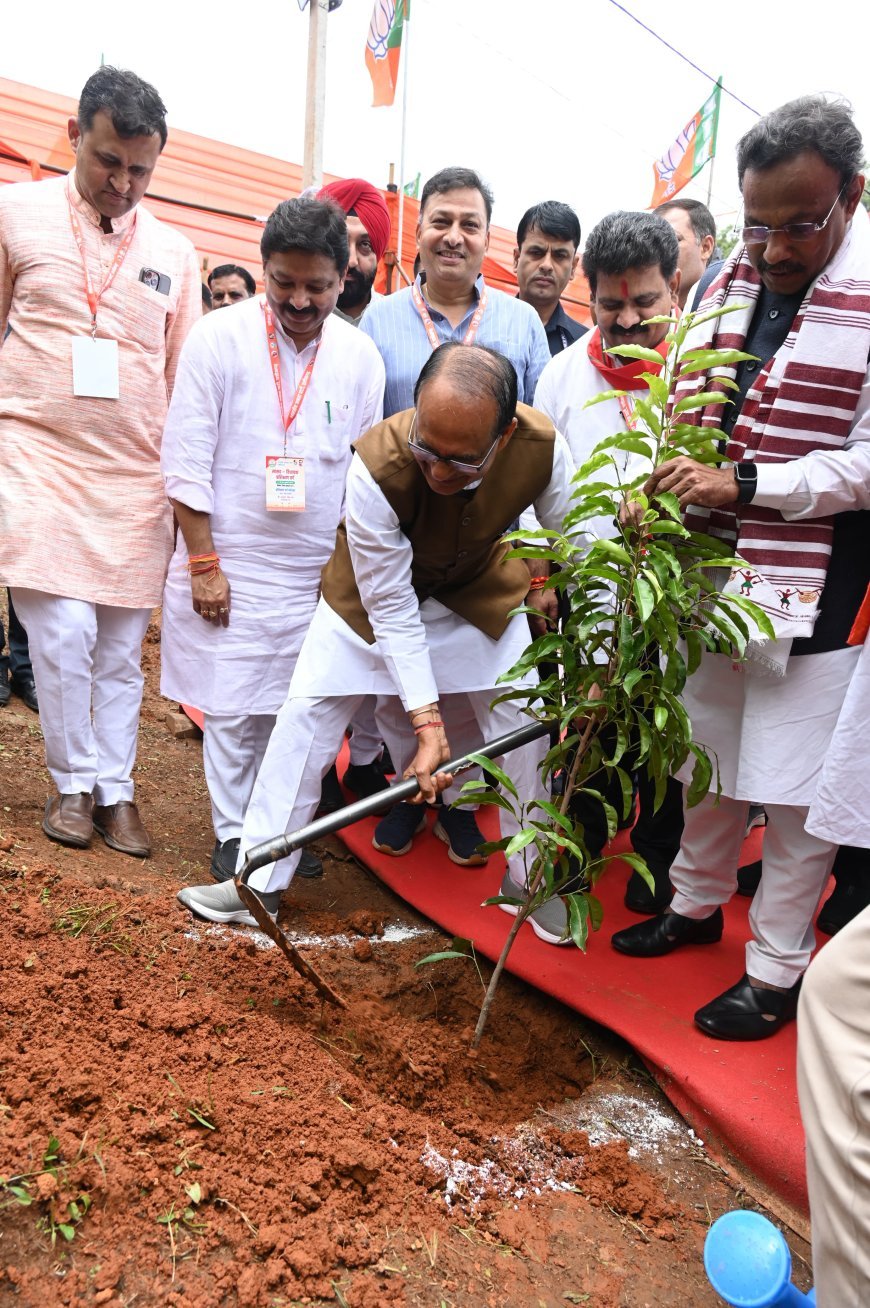 मैनपाट में केंद्रीय मंत्री शिवराज सिंह चौहान का आगमन, 'मां के नाम' पौधरोपण के साथ दिया पर्यावरण संरक्षण का संदेश