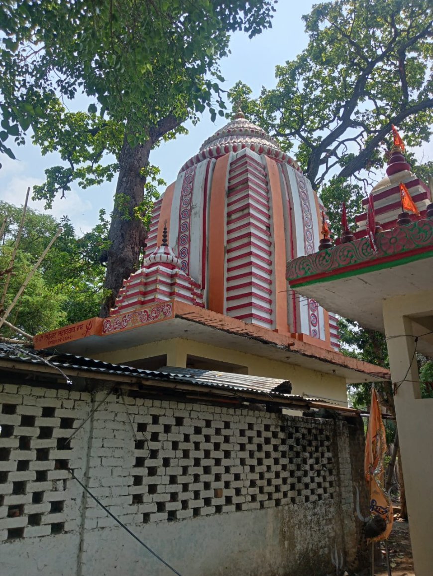 सिद्धेश्वर महादेव मंदिर में गुरु पूर्णिमा पर भव्य भंडारे का आयोजन, भक्तों का उमड़ा हुजूम