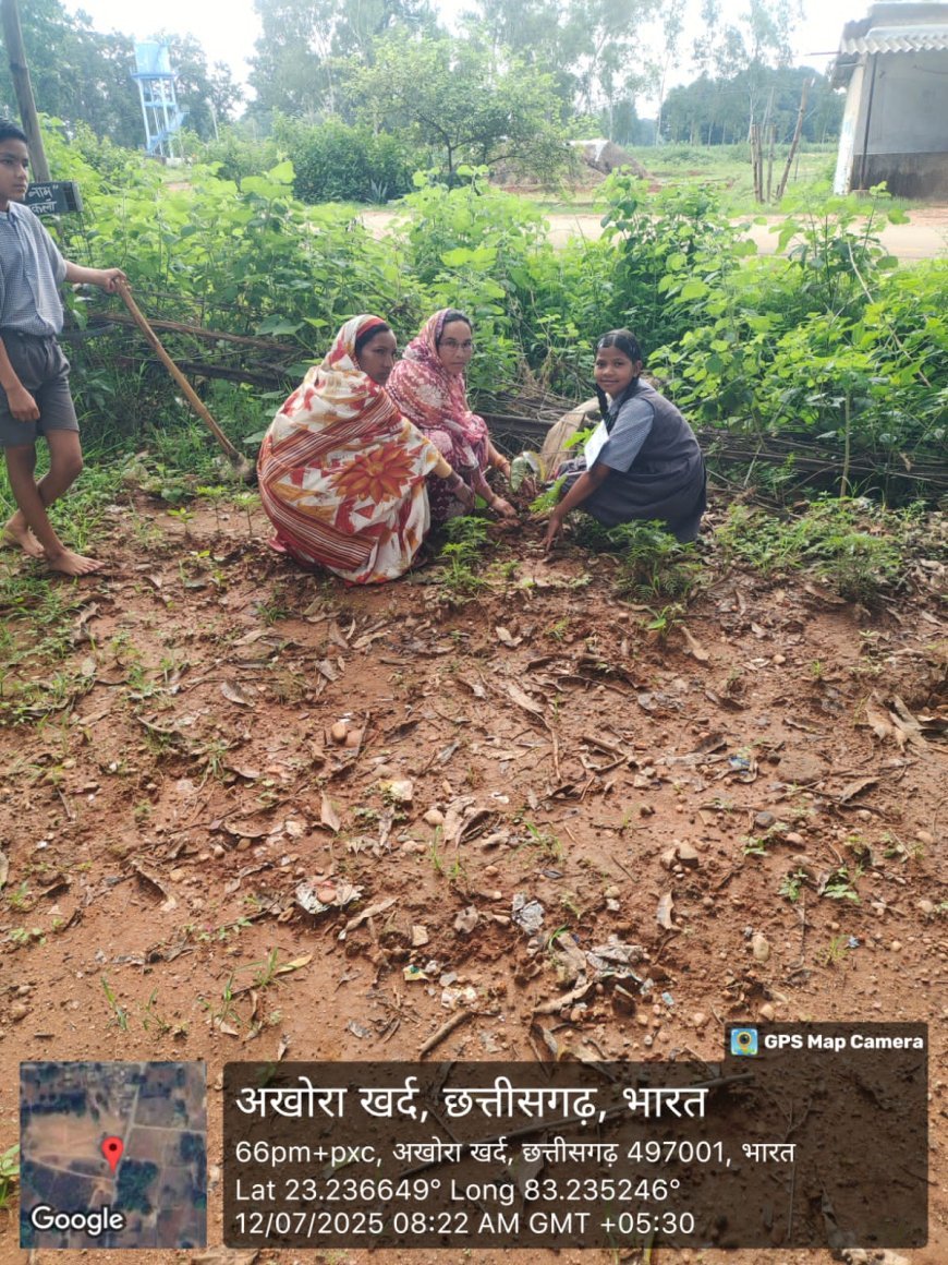 शासकीय प्राथमिक शाला अखोराकला में शाला प्रवेश उत्सव की धूम, बच्चों का तिलक और लड्डू से स्वागत