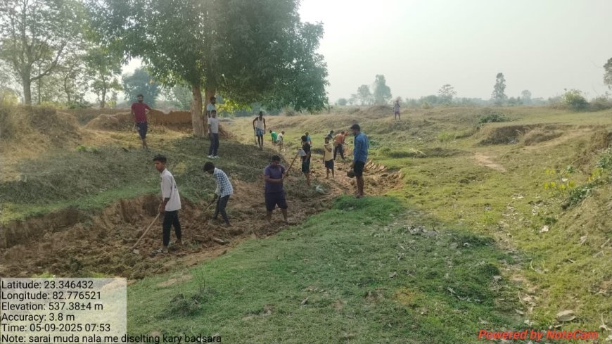 नाला साफ हुआ बारिश से, राशि डकार गए प्रभावशाली, मनरेगा में भ्रष्टाचार की गारंटी